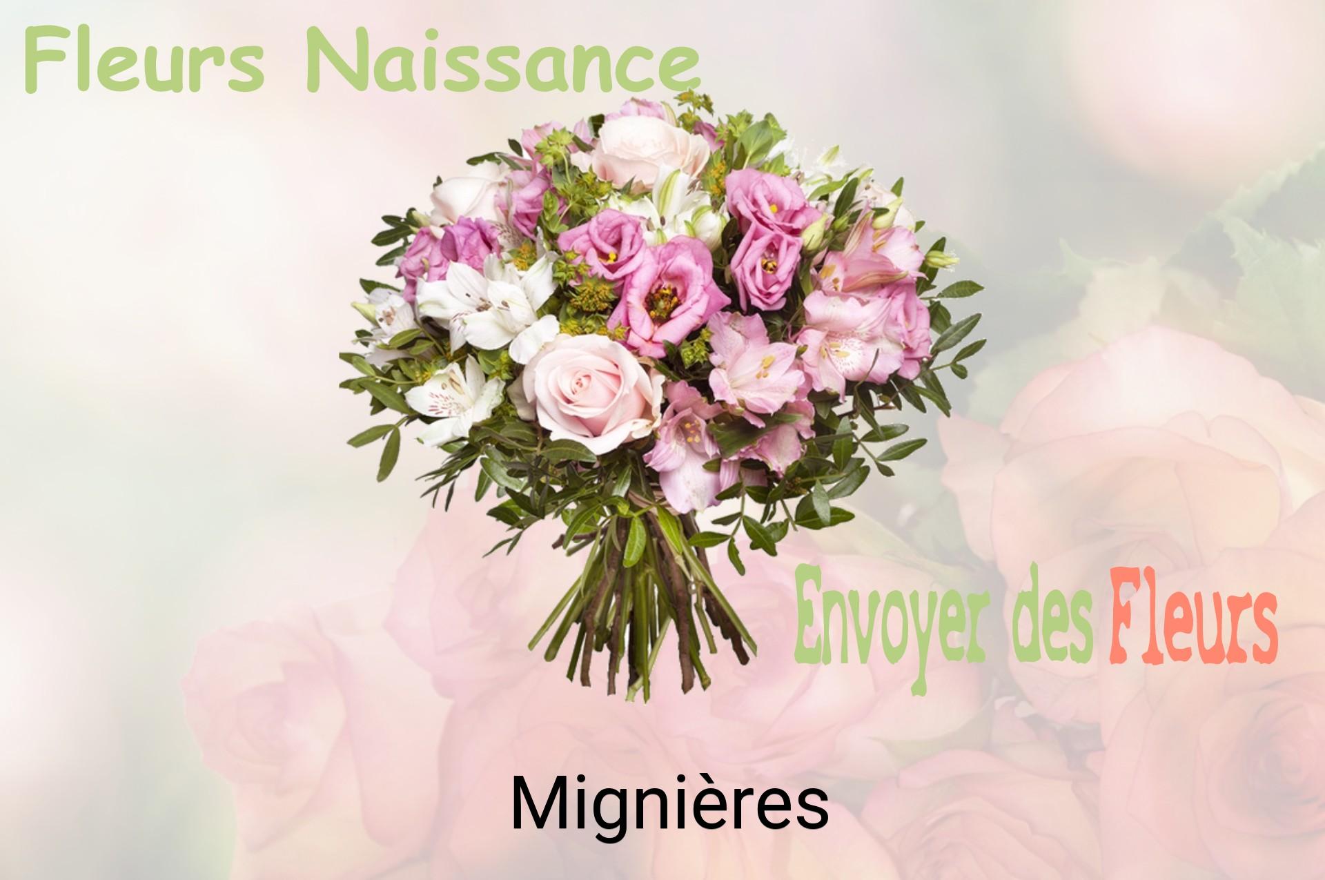 Bouquet de fleurs de naissance livré à Mignières